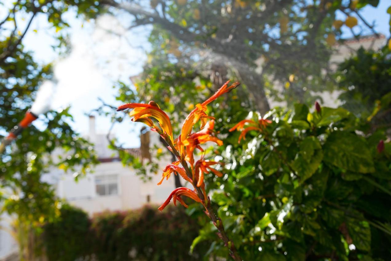 Flat With A Garden In Belem Apartment Lisabona Exterior foto