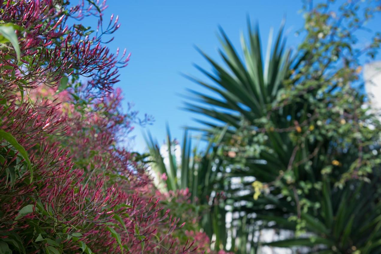 Flat With A Garden In Belem Apartment Lisabona Exterior foto